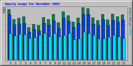 Hourly usage for December 2025